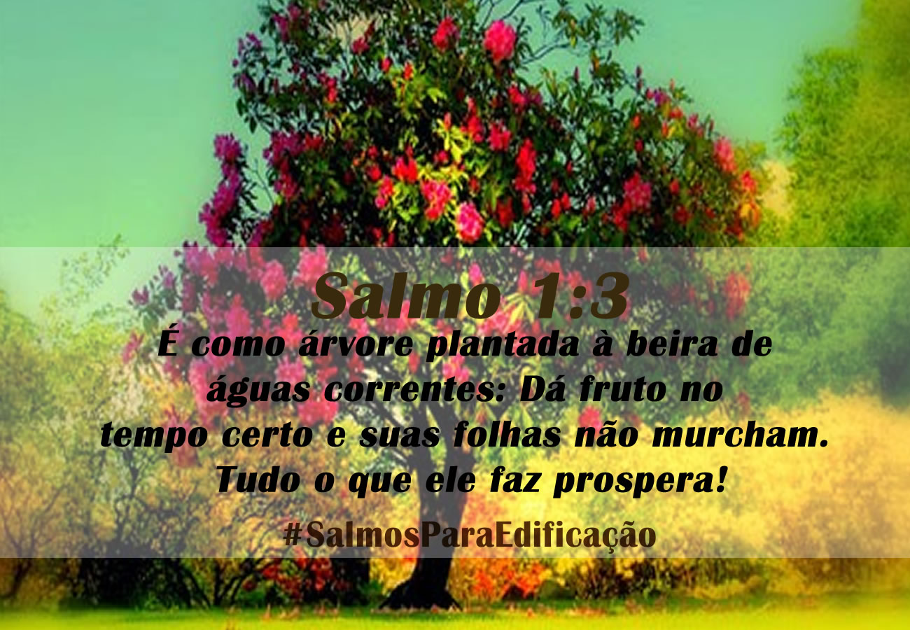 Salmos
